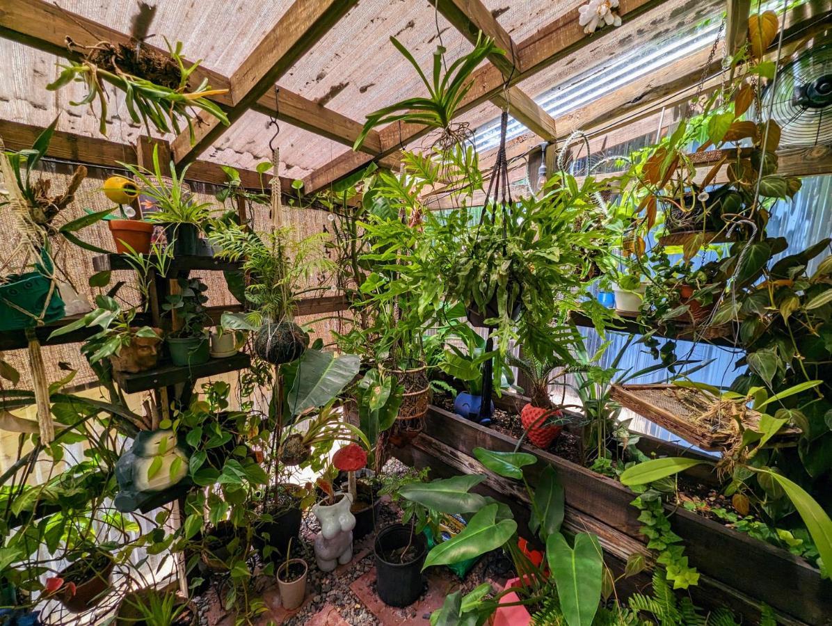 Вілла Cozy Af Tiny-House Oasis Тампа Екстер'єр фото