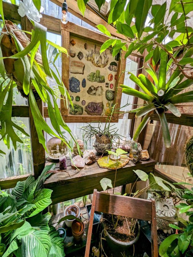 Вілла Cozy Af Tiny-House Oasis Тампа Екстер'єр фото
