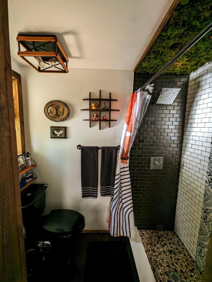 Вілла Cozy Af Tiny-House Oasis Тампа Екстер'єр фото