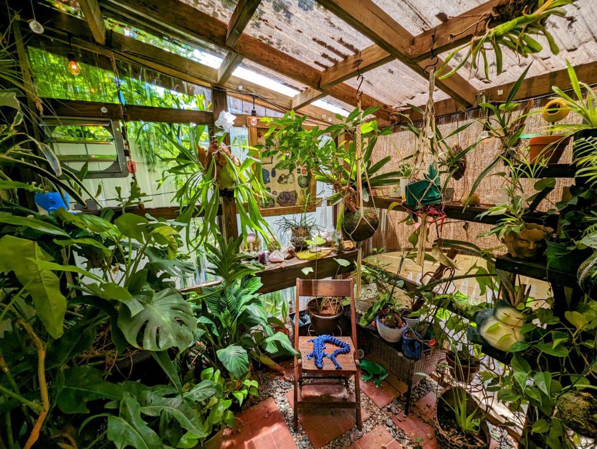 Вілла Cozy Af Tiny-House Oasis Тампа Екстер'єр фото